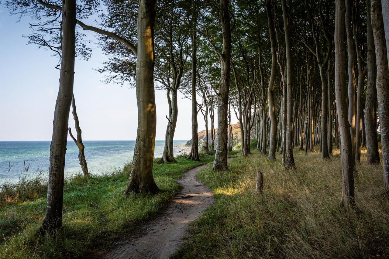 Gemuetliche Ferienresidenz Mit Meerblick Ueber Die Wundervolle Luebecker Bucht Timmendorfer Strand Exterior photo